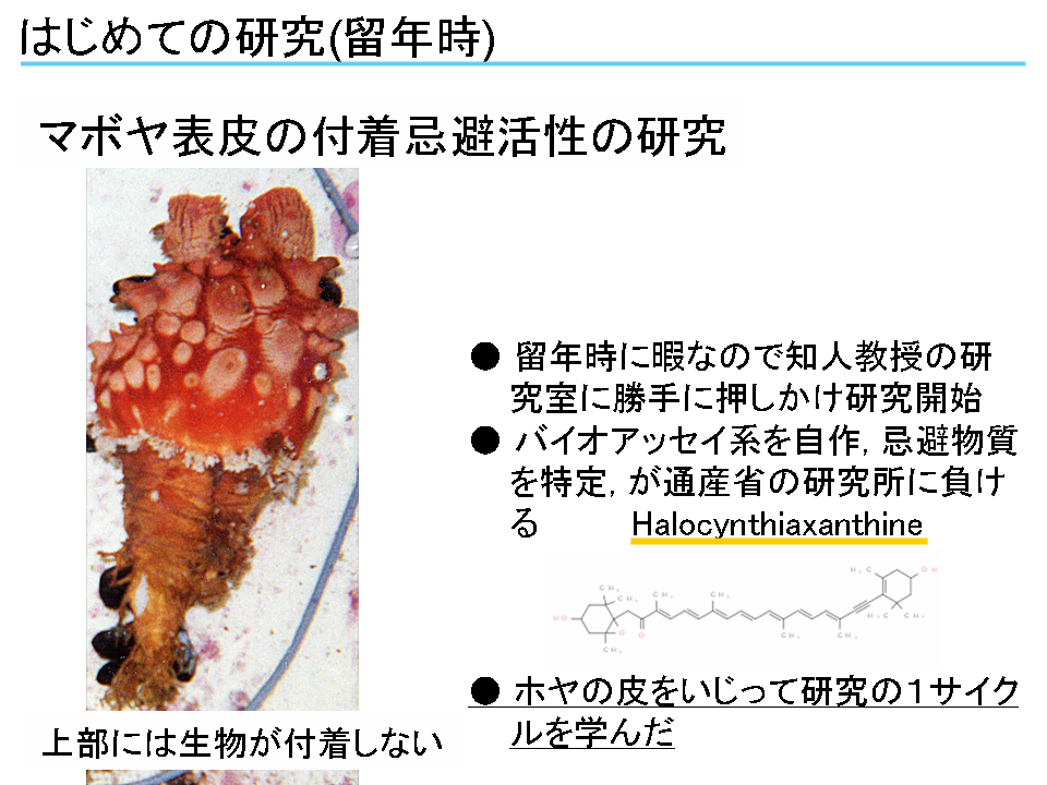 クリックで拡大