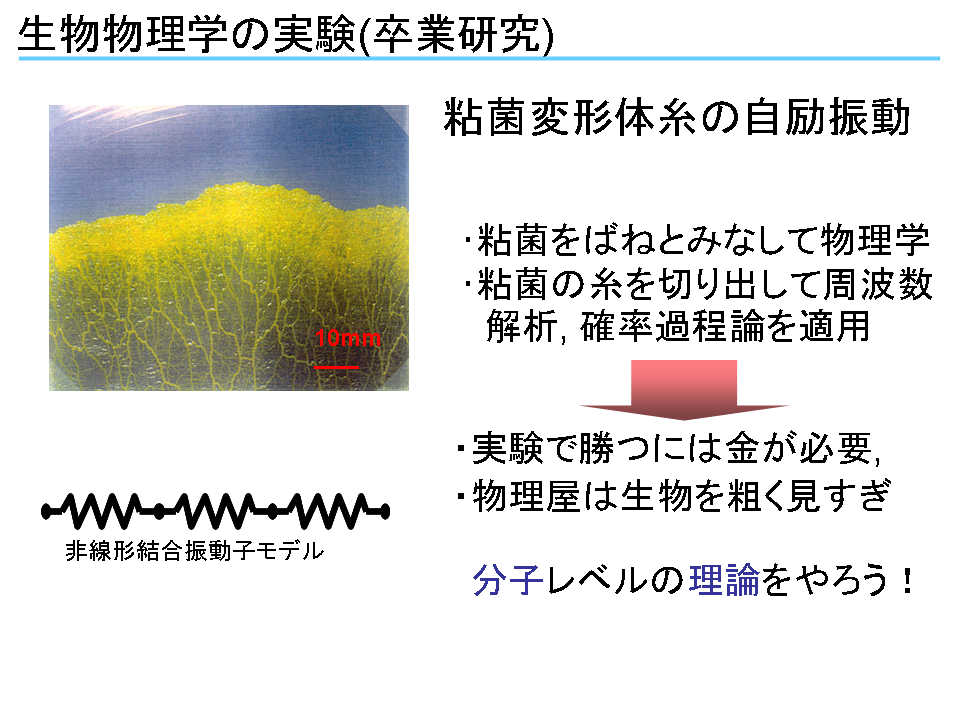 クリックで拡大